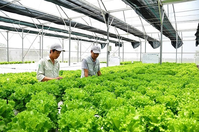 Từ vựng tiếng Nhật Tokutei nông nghiệp